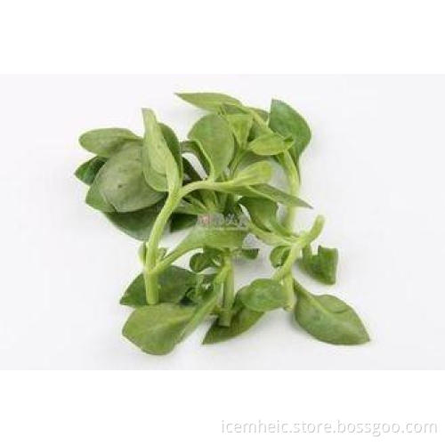 Andrographolide 98% Chinese Herbal Extract Health For Medic